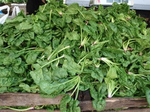 Baby Spinach, 3lb